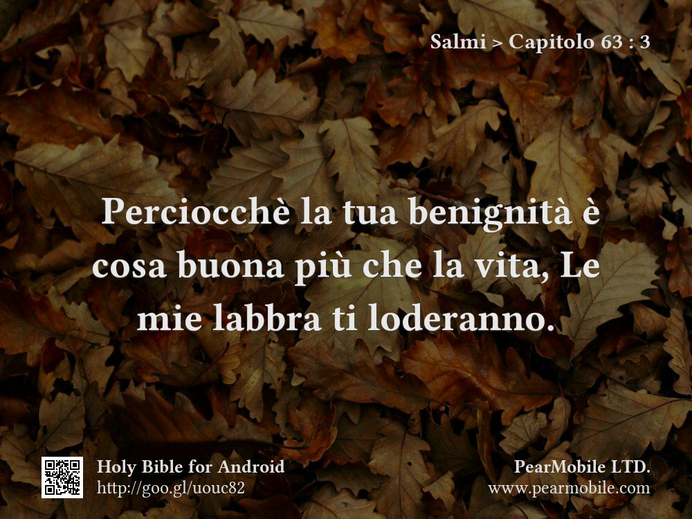 Salmi, Capitolo 63:3